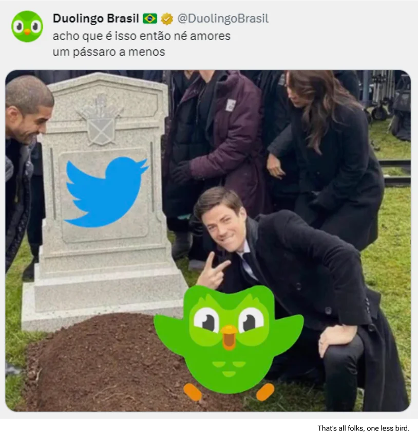 Various prints from the duolingo app