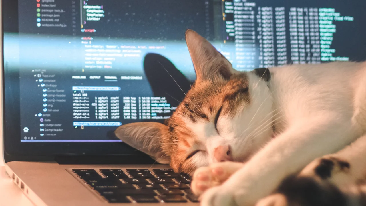 The future of work - challenges and opportunities of the remote work