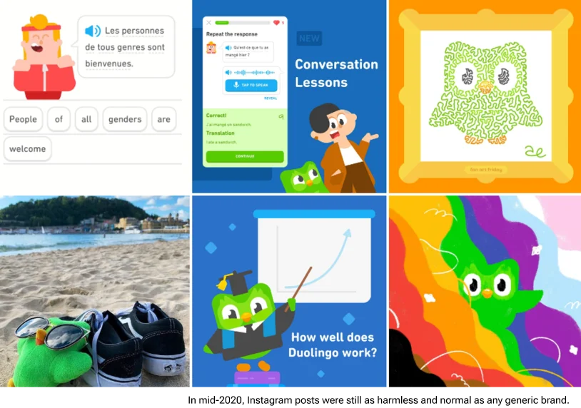 Various prints from the duolingo app
